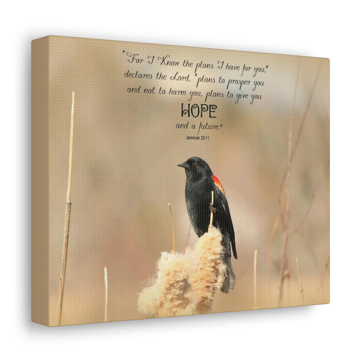 Scripture Walls Hope And A Future Jeremiah 29:11 Bible Verse Canvas Christian Wall Art Bible Verse Print Ready To Hang Unframed-Express Your Love Gifts