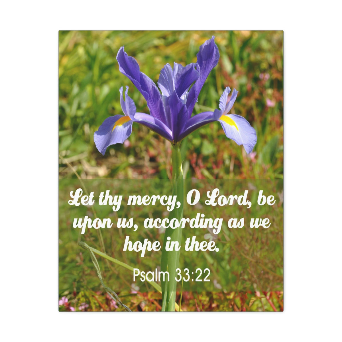 Scripture Walls Hope In Thee Psalm 33:22 Bible Verse Canvas Christian Wall Art Ready to Hang Unframed-Express Your Love Gifts