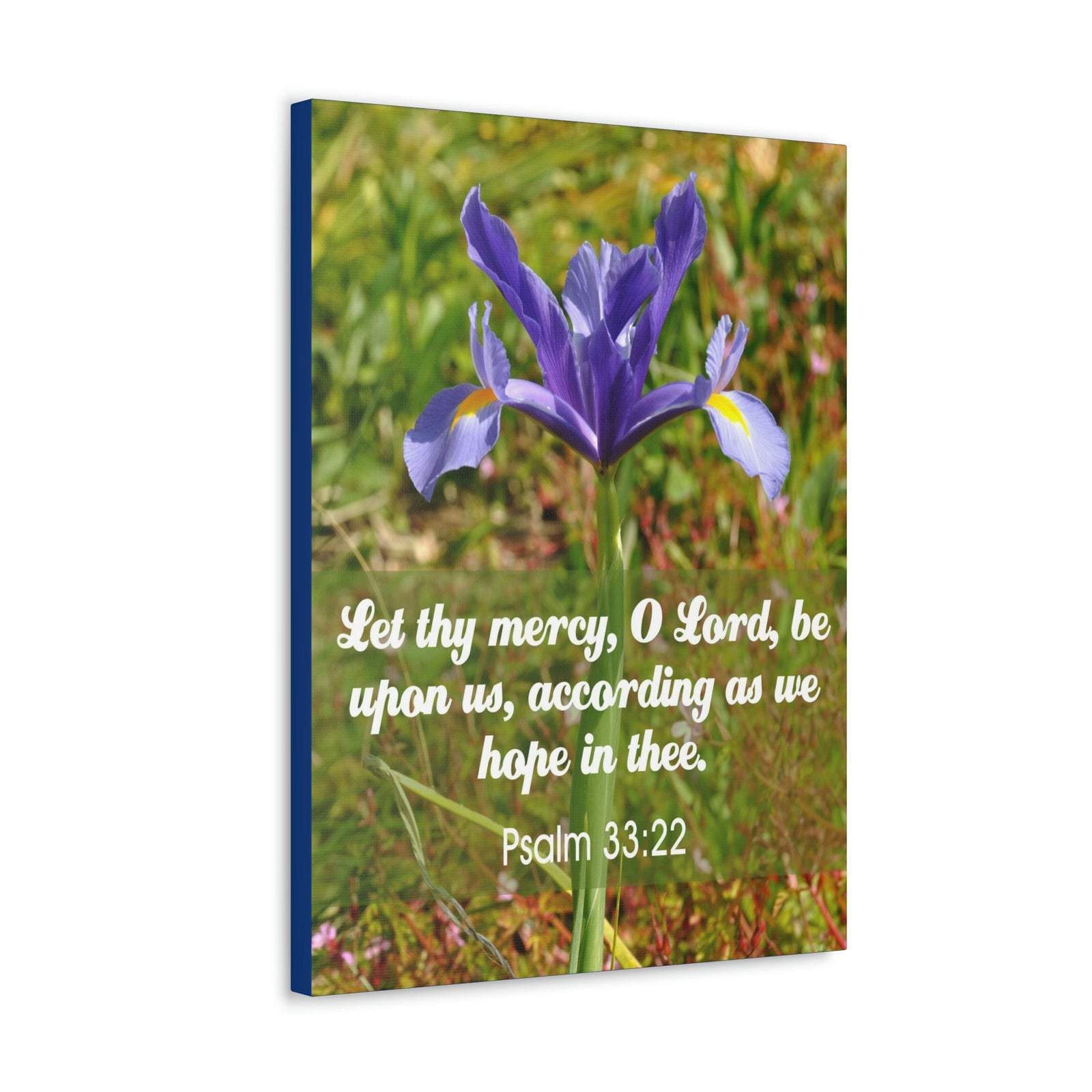 Scripture Walls Hope In Thee Psalm 33:22 Bible Verse Canvas Christian Wall Art Ready to Hang Unframed-Express Your Love Gifts