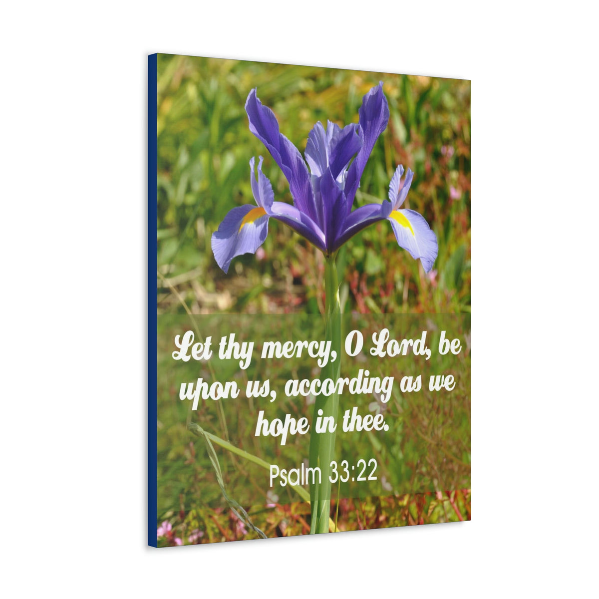 Scripture Walls Hope In Thee Psalm 33:22 Bible Verse Canvas Christian Wall Art Ready to Hang Unframed-Express Your Love Gifts