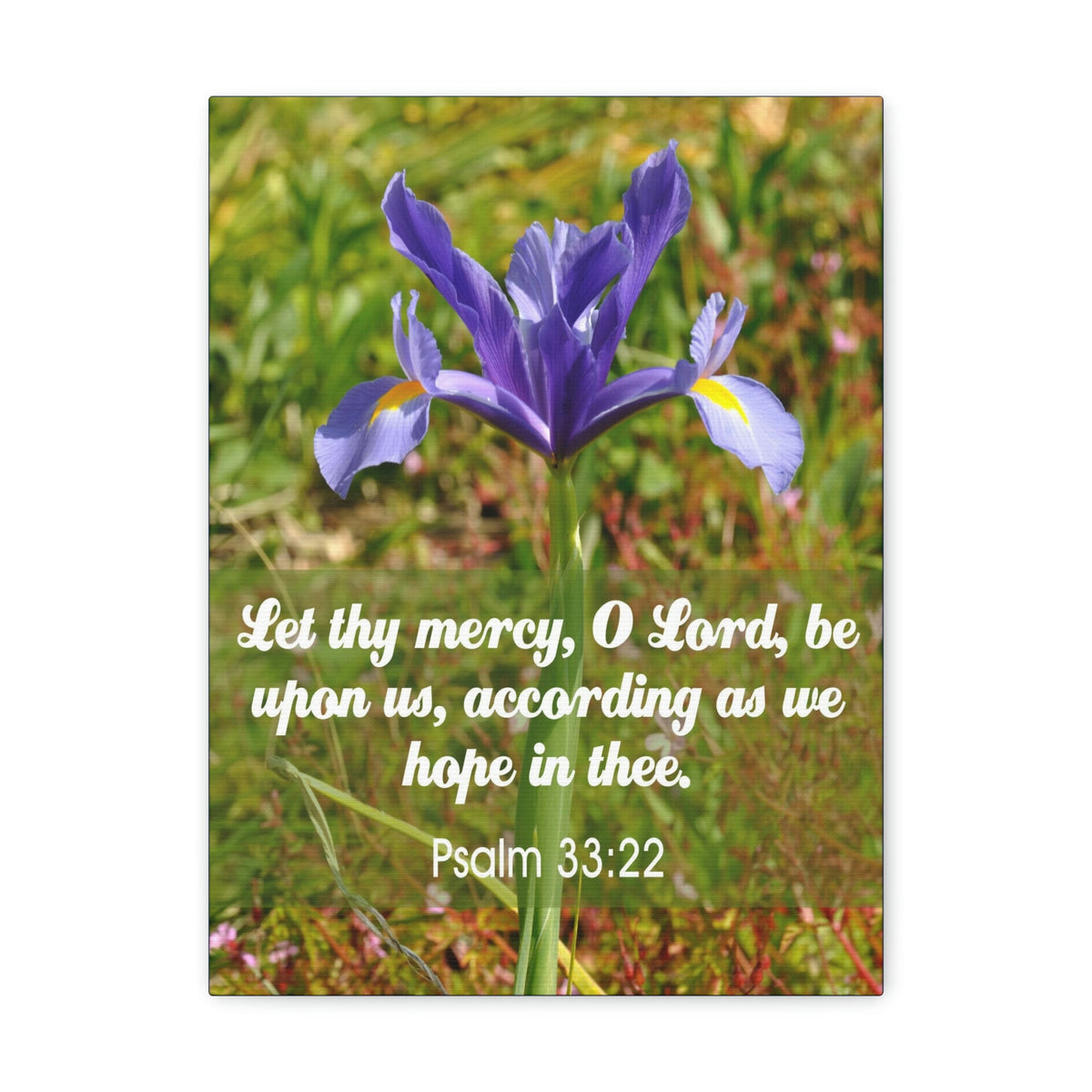 Scripture Walls Hope In Thee Psalm 33:22 Bible Verse Canvas Christian Wall Art Ready to Hang Unframed-Express Your Love Gifts