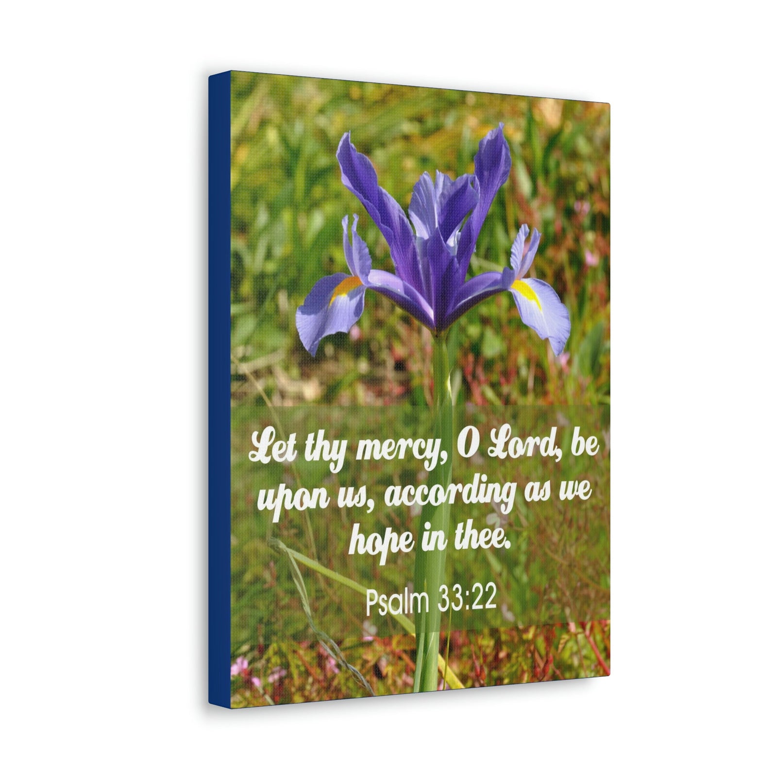 Scripture Walls Hope In Thee Psalm 33:22 Bible Verse Canvas Christian Wall Art Ready to Hang Unframed-Express Your Love Gifts