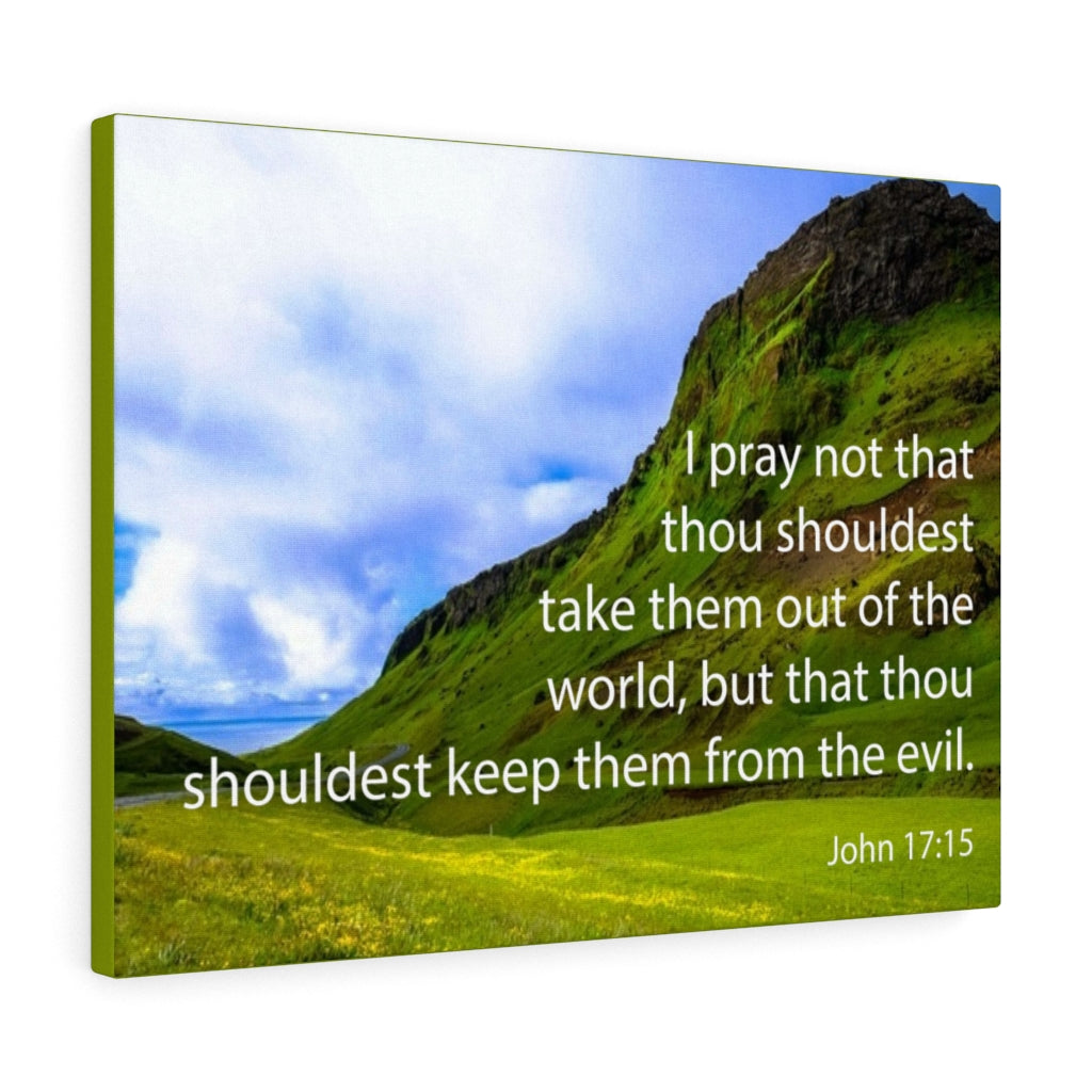 Scripture Walls I Pray Not John 17:15 Bible Verse Canvas Christian Wall Art Ready to Hang Unframed-Express Your Love Gifts
