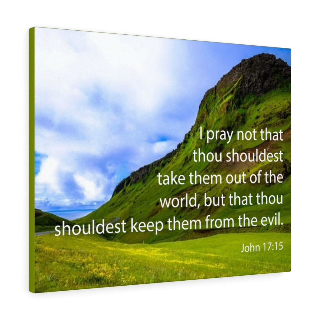 Scripture Walls I Pray Not John 17:15 Bible Verse Canvas Christian Wall Art Ready to Hang Unframed-Express Your Love Gifts