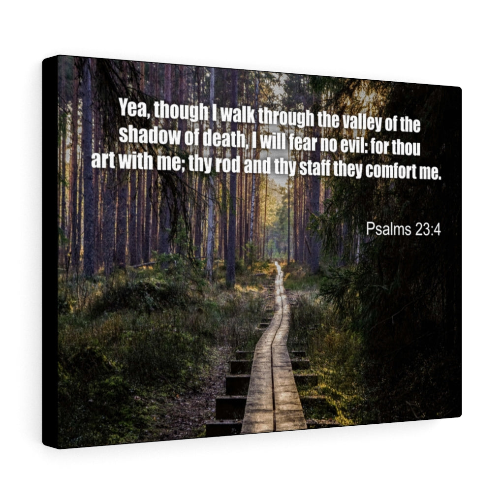 Scripture Walls I Will Fear No Evil Psalm 23:4 Bible Verse Canvas Christian Wall Art Ready to Hang Unframed-Express Your Love Gifts