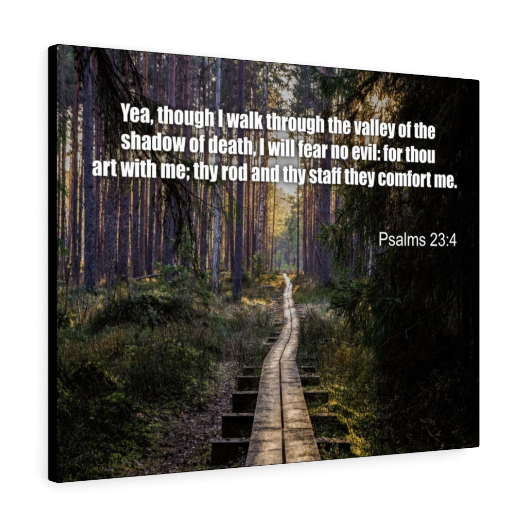 Scripture Walls I Will Fear No Evil Psalm 23:4 Bible Verse Canvas Christian Wall Art Ready to Hang Unframed-Express Your Love Gifts