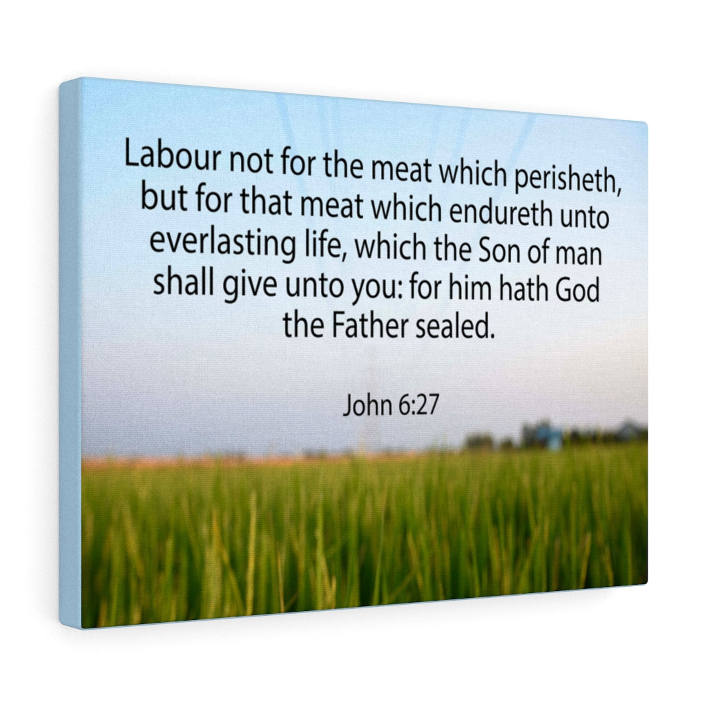 Scripture Walls Labour Not For The Meat John 6:27 Bible Verse Canvas Christian Wall Art Ready to Hang Unframed-Express Your Love Gifts