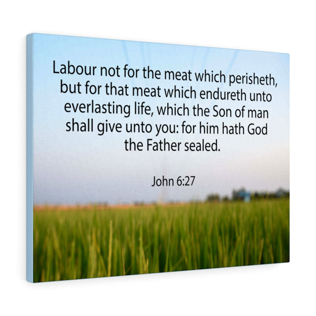Scripture Walls Labour Not For The Meat John 6:27 Bible Verse Canvas Christian Wall Art Ready to Hang Unframed-Express Your Love Gifts