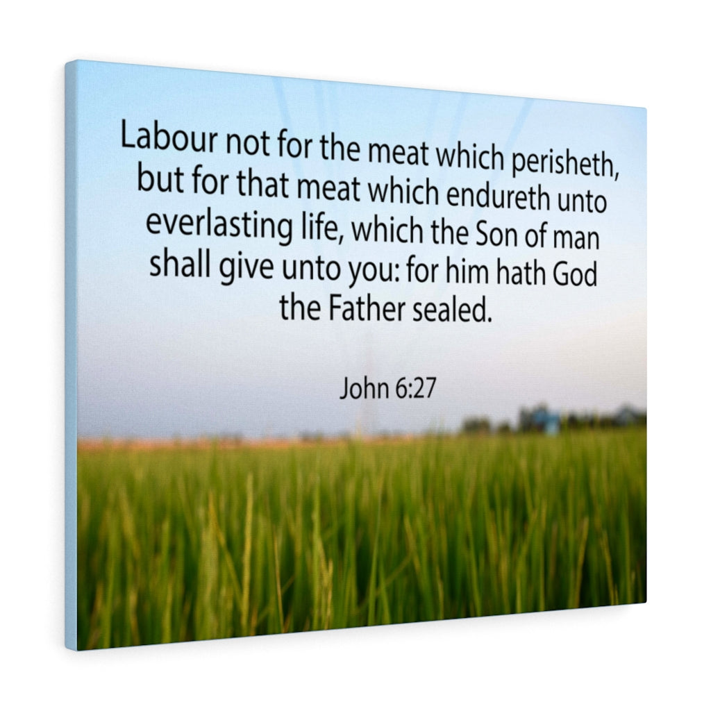 Scripture Walls Labour Not For The Meat John 6:27 Bible Verse Canvas Christian Wall Art Ready to Hang Unframed-Express Your Love Gifts