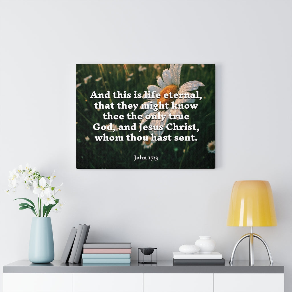 Scripture Walls Life Eternal John 17:3 Bible Verse Canvas Christian Wall Art Ready to Hang Unframed-Express Your Love Gifts