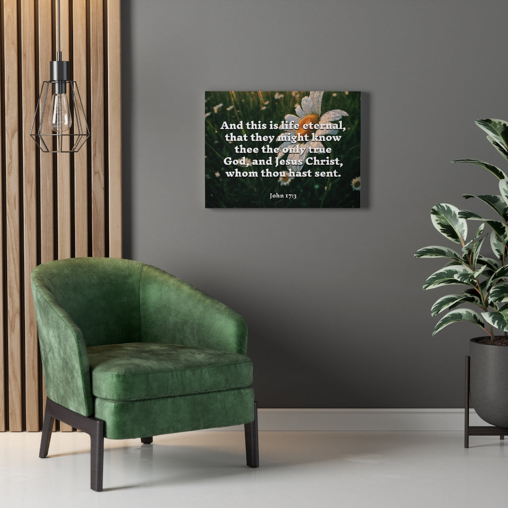 Scripture Walls Life Eternal John 17:3 Bible Verse Canvas Christian Wall Art Ready to Hang Unframed-Express Your Love Gifts