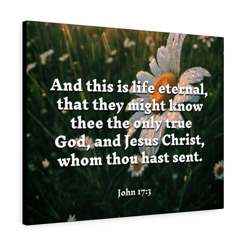 Scripture Walls Life Eternal John 17:3 Bible Verse Canvas Christian Wall Art Ready to Hang Unframed-Express Your Love Gifts