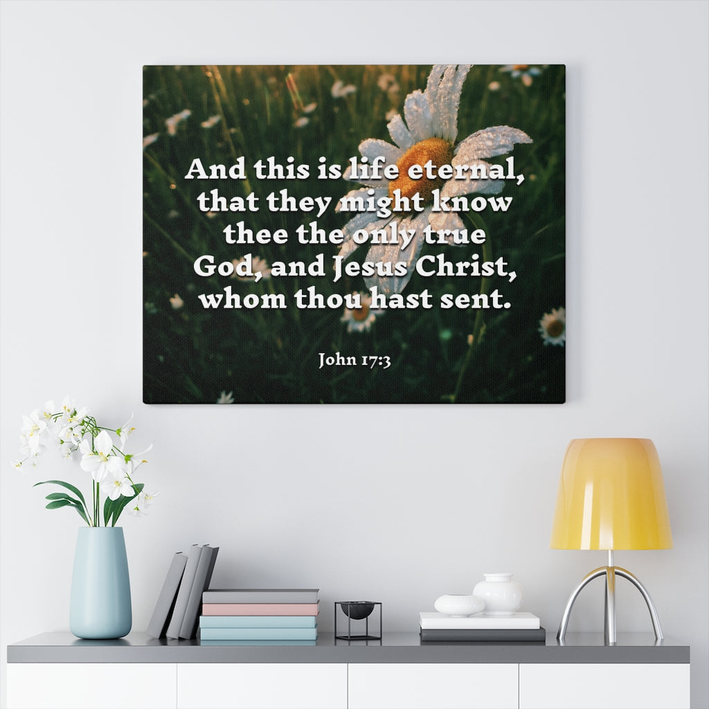 Scripture Walls Life Eternal John 17:3 Bible Verse Canvas Christian Wall Art Ready to Hang Unframed-Express Your Love Gifts