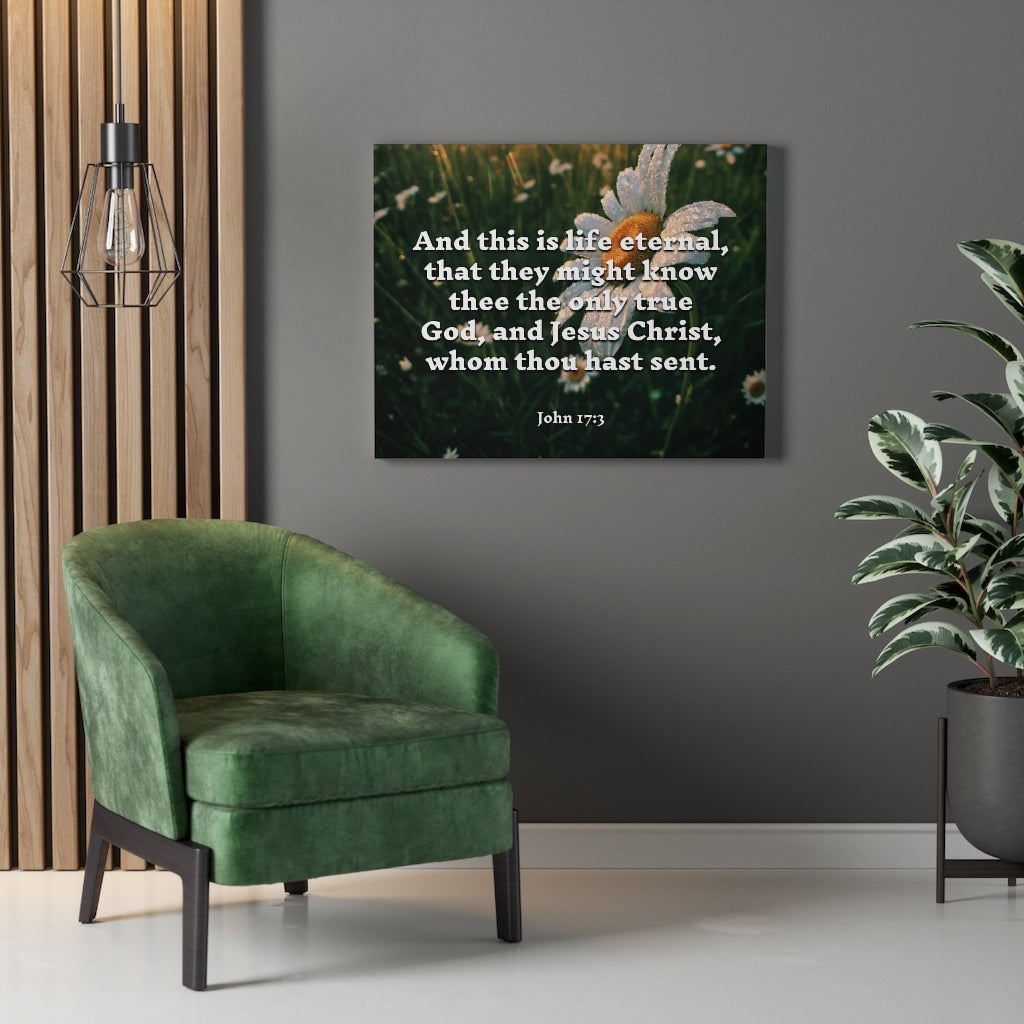 Scripture Walls Life Eternal John 17:3 Bible Verse Canvas Christian Wall Art Ready to Hang Unframed-Express Your Love Gifts
