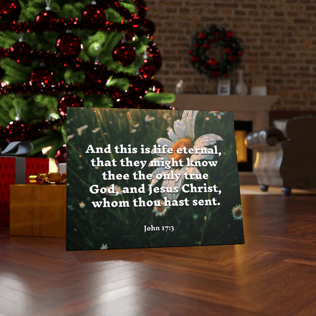 Scripture Walls Life Eternal John 17:3 Bible Verse Canvas Christian Wall Art Ready to Hang Unframed-Express Your Love Gifts
