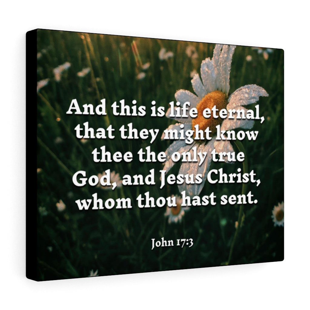 Scripture Walls Life Eternal John 17:3 Bible Verse Canvas Christian Wall Art Ready to Hang Unframed-Express Your Love Gifts