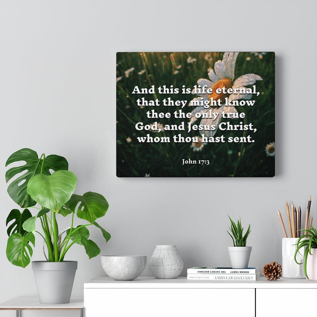 Scripture Walls Life Eternal John 17:3 Bible Verse Canvas Christian Wall Art Ready to Hang Unframed-Express Your Love Gifts