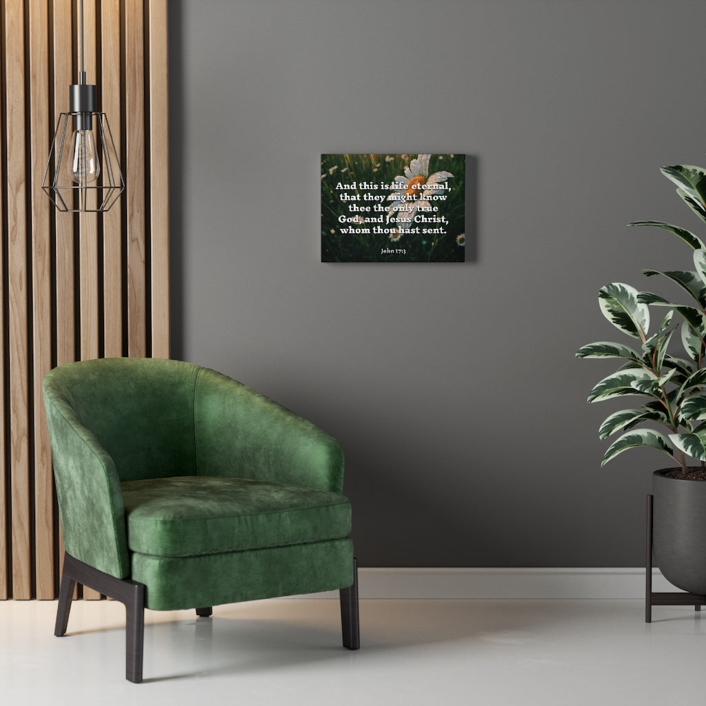 Scripture Walls Life Eternal John 17:3 Bible Verse Canvas Christian Wall Art Ready to Hang Unframed-Express Your Love Gifts