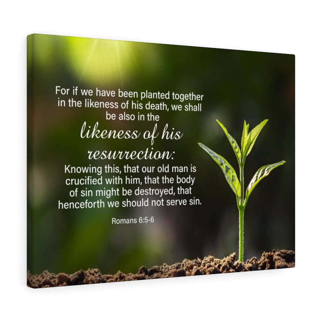 Scripture Walls Likeness of His Resurrection Mind Romans 6:5-6 Bible Verse Canvas Christian Wall Art Ready to Hang Unframed-Express Your Love Gifts