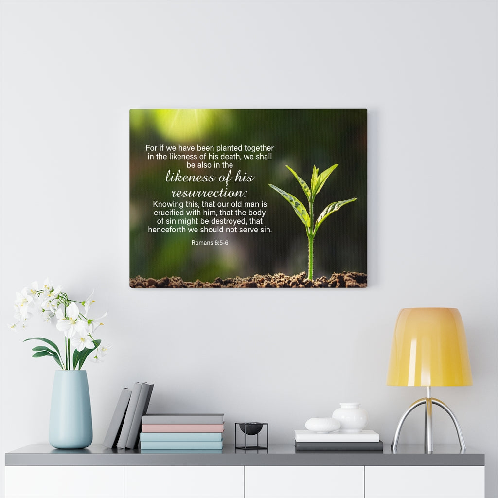 Scripture Walls Likeness of His Resurrection Mind Romans 6:5-6 Bible Verse Canvas Christian Wall Art Ready to Hang Unframed-Express Your Love Gifts