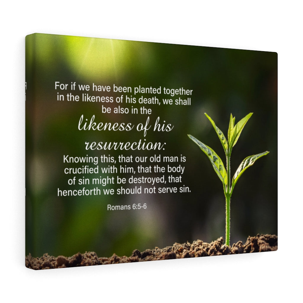 Scripture Walls Likeness of His Resurrection Mind Romans 6:5-6 Bible Verse Canvas Christian Wall Art Ready to Hang Unframed-Express Your Love Gifts