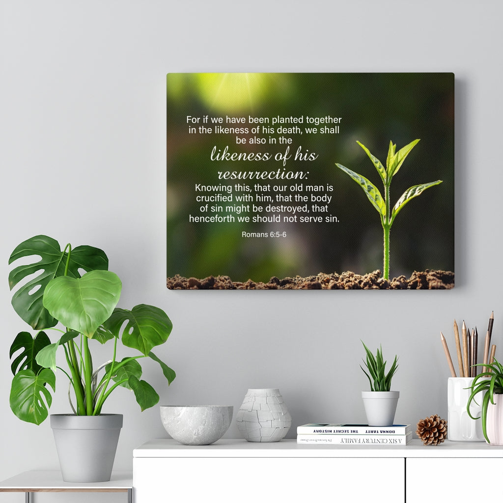 Scripture Walls Likeness of His Resurrection Mind Romans 6:5-6 Bible Verse Canvas Christian Wall Art Ready to Hang Unframed-Express Your Love Gifts