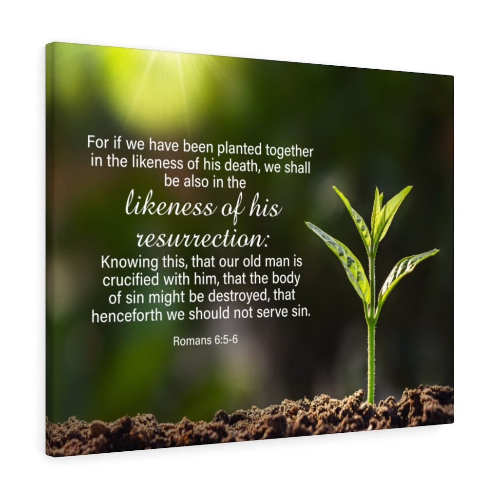 Scripture Walls Likeness of His Resurrection Mind Romans 6:5-6 Bible Verse Canvas Christian Wall Art Ready to Hang Unframed-Express Your Love Gifts
