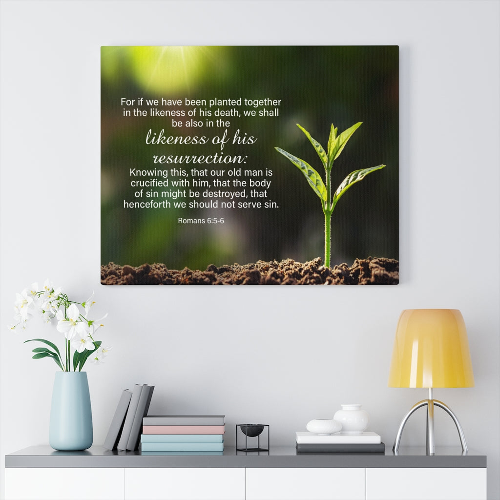 Scripture Walls Likeness of His Resurrection Mind Romans 6:5-6 Bible Verse Canvas Christian Wall Art Ready to Hang Unframed-Express Your Love Gifts