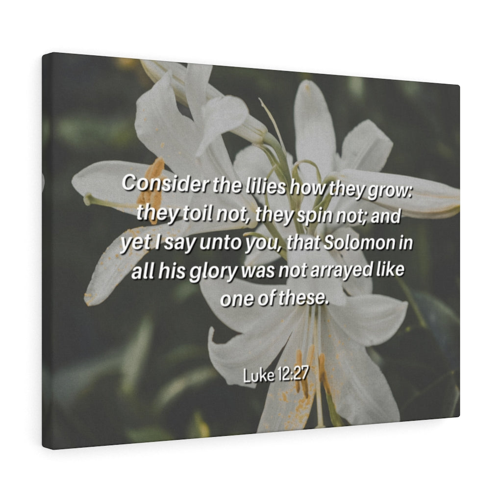 Scripture Walls Lilies Grow Luke 12:27 Bible Verse Canvas Christian Wall Art Ready to Hang Unframed-Express Your Love Gifts