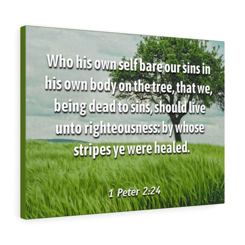 Scripture Walls Live Unto Righteousness 1 Peter 2:24 Bible Verse Canvas Christian Wall Art Ready to Hang Unframed-Express Your Love Gifts