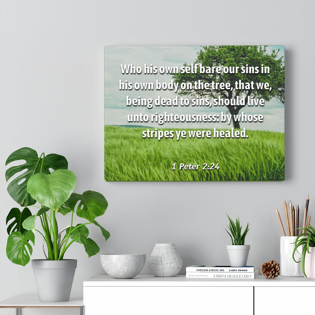 Scripture Walls Live Unto Righteousness 1 Peter 2:24 Bible Verse Canvas Christian Wall Art Ready to Hang Unframed-Express Your Love Gifts
