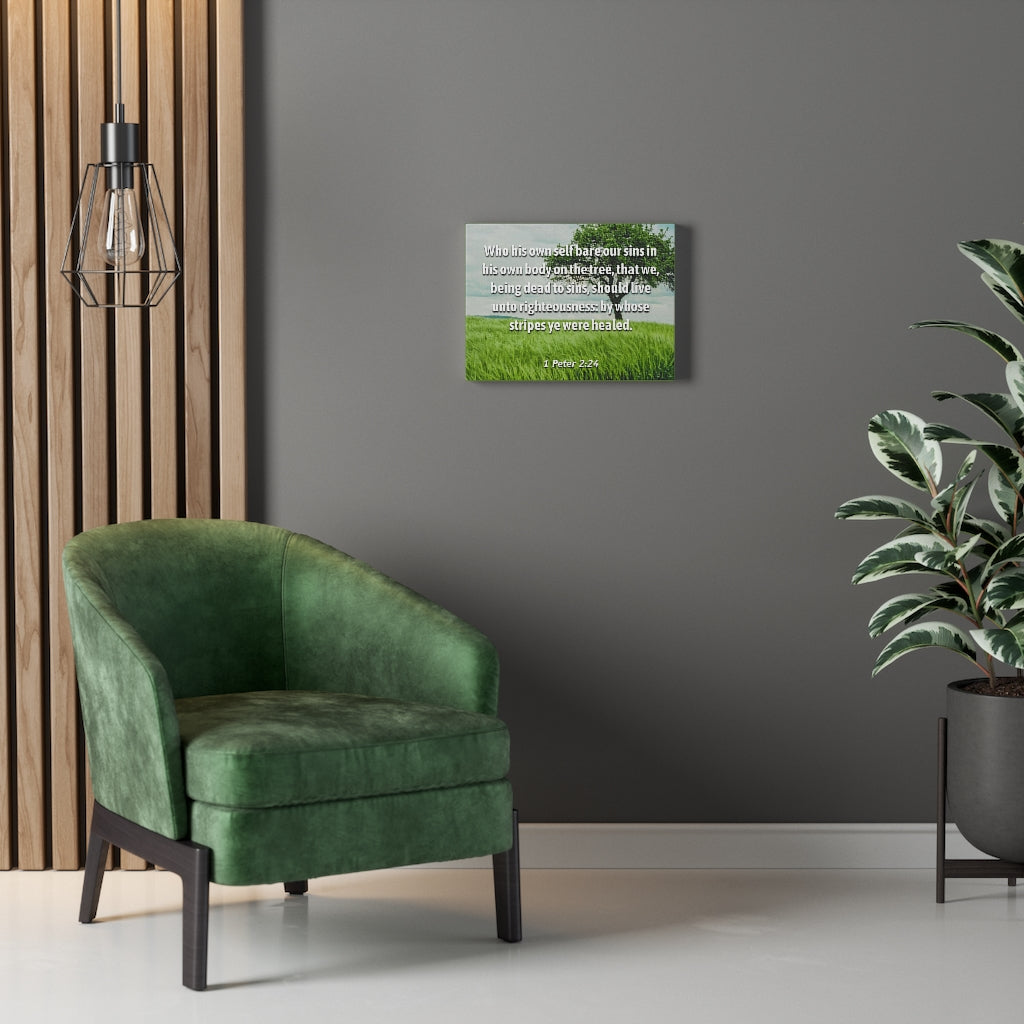 Scripture Walls Live Unto Righteousness 1 Peter 2:24 Bible Verse Canvas Christian Wall Art Ready to Hang Unframed-Express Your Love Gifts