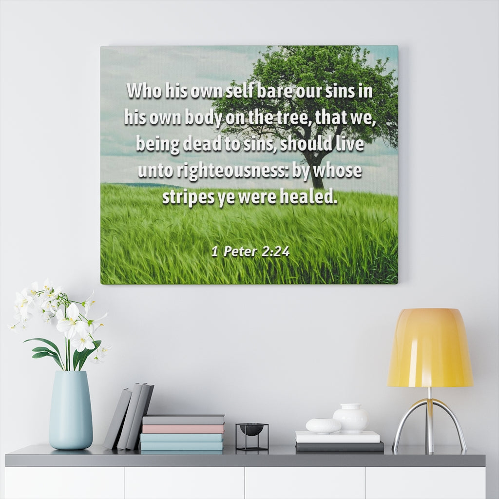 Scripture Walls Live Unto Righteousness 1 Peter 2:24 Bible Verse Canvas Christian Wall Art Ready to Hang Unframed-Express Your Love Gifts