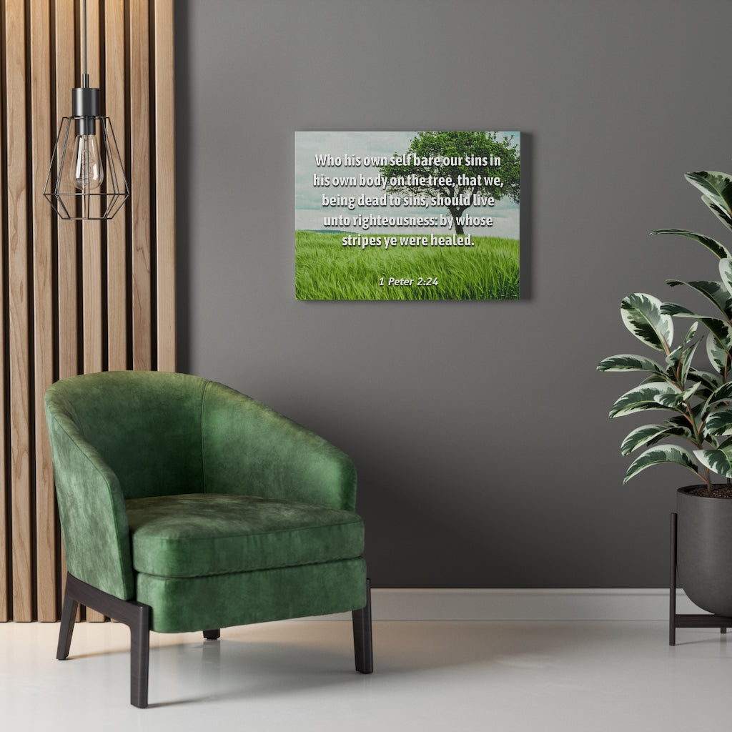 Scripture Walls Live Unto Righteousness 1 Peter 2:24 Bible Verse Canvas Christian Wall Art Ready to Hang Unframed-Express Your Love Gifts