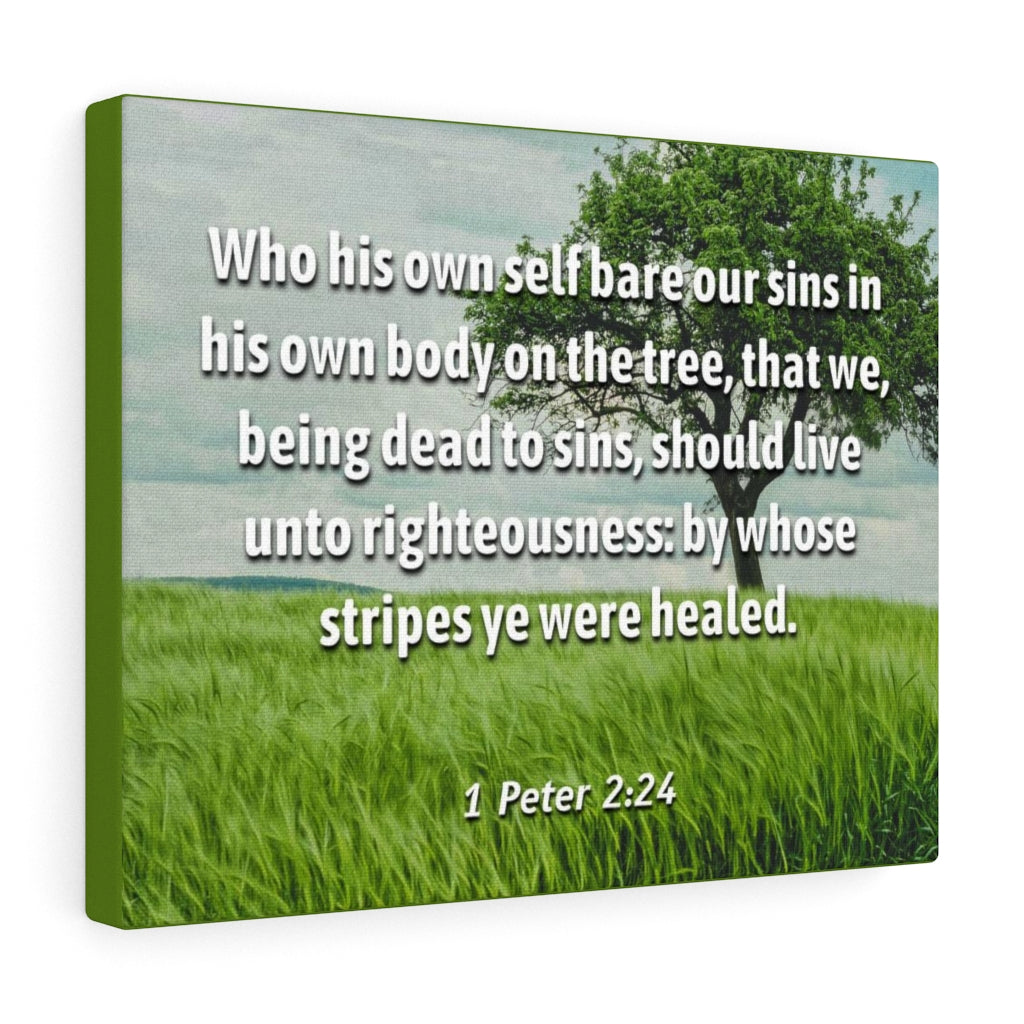Scripture Walls Live Unto Righteousness 1 Peter 2:24 Bible Verse Canvas Christian Wall Art Ready to Hang Unframed-Express Your Love Gifts