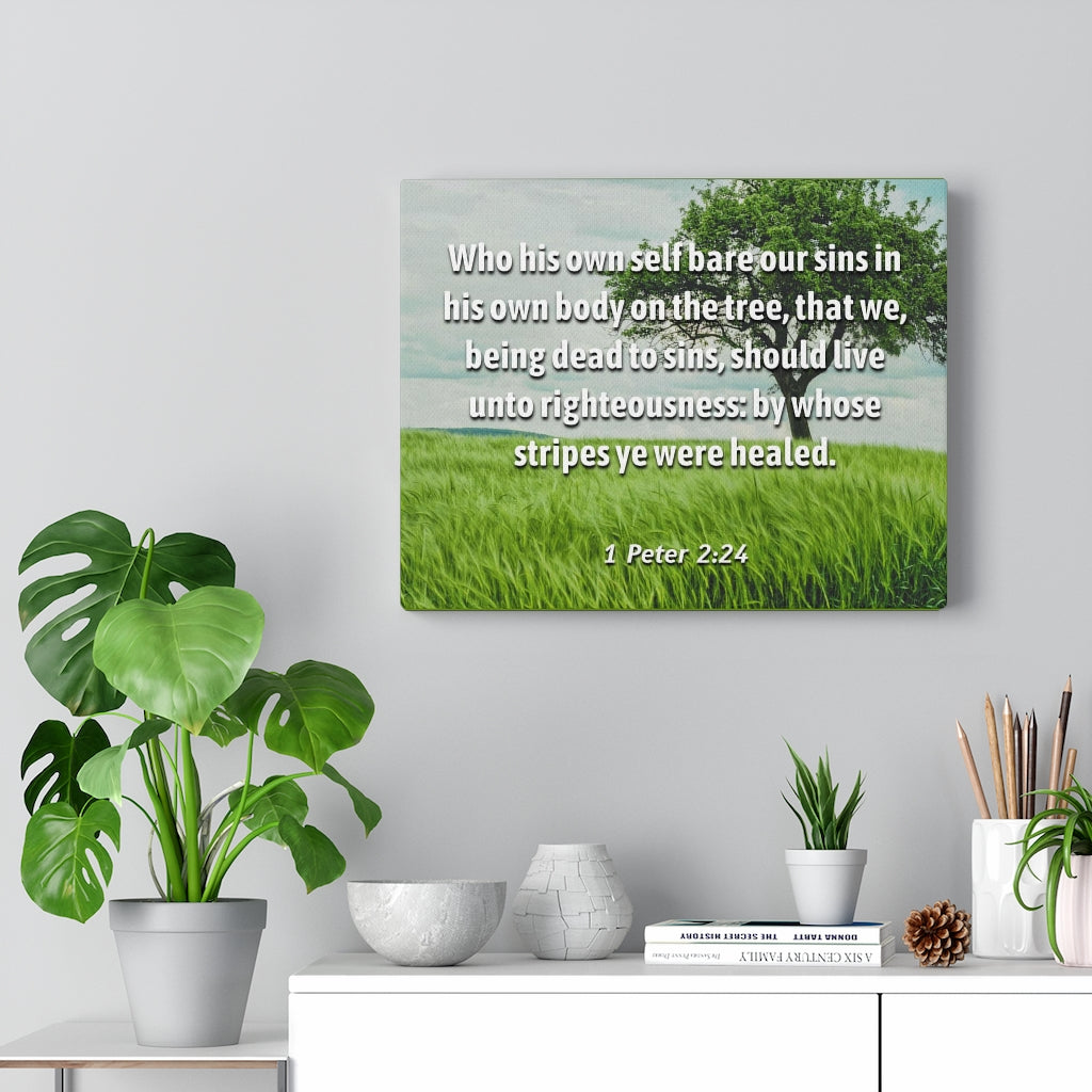 Scripture Walls Live Unto Righteousness 1 Peter 2:24 Bible Verse Canvas Christian Wall Art Ready to Hang Unframed-Express Your Love Gifts