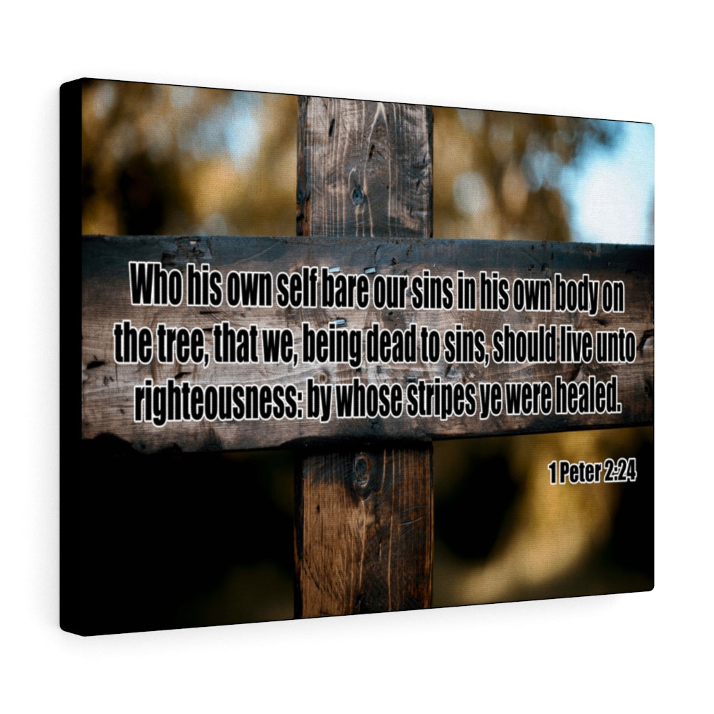 Scripture Walls Live Unto Righteousness 1 Peter 2:24 Wall Art Christian Home Decor Unframed-Express Your Love Gifts