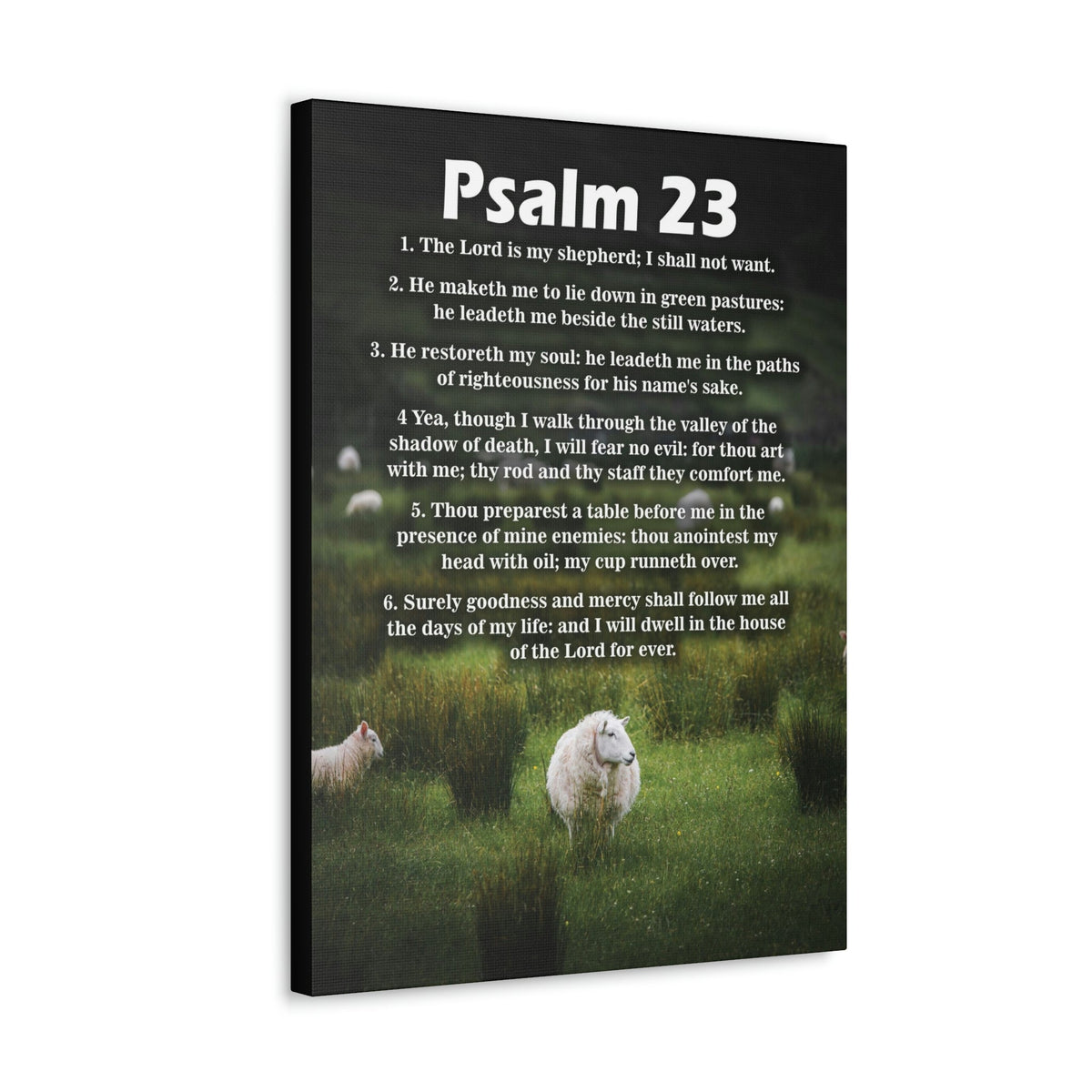 Scripture Walls Lord is My Shepherd Psalm 23 Green Christian Wall Art Bible Verse Print Ready to Hang Unframed-Express Your Love Gifts