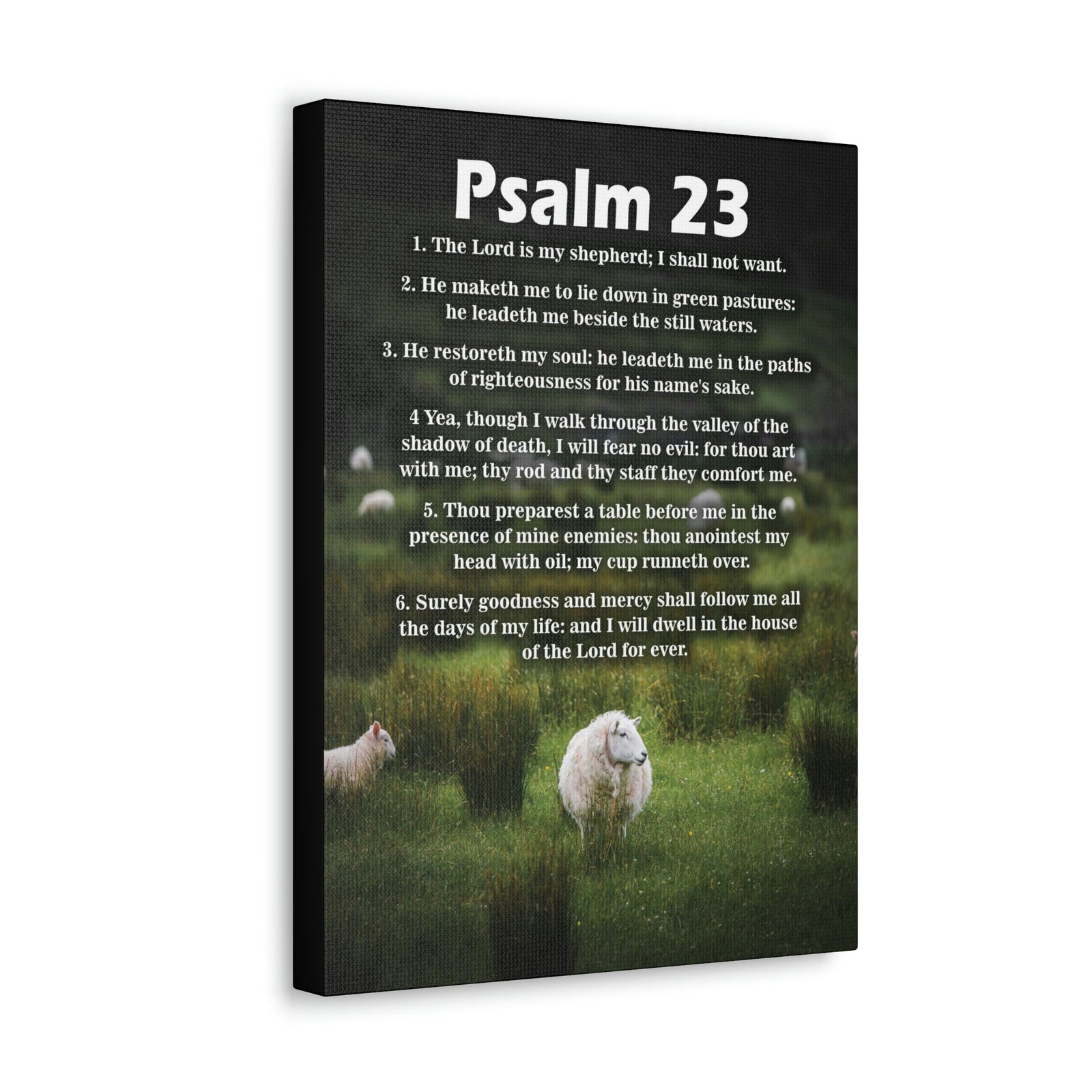 Scripture Walls Lord is My Shepherd Psalm 23 Green Christian Wall Art Bible Verse Print Ready to Hang Unframed-Express Your Love Gifts