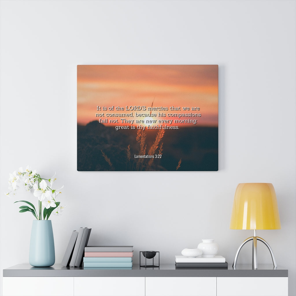 Scripture Walls Lord's Mercy Lamentations 3:22 Bible Verse Canvas Christian Wall Art Ready to Hang Unframed-Express Your Love Gifts