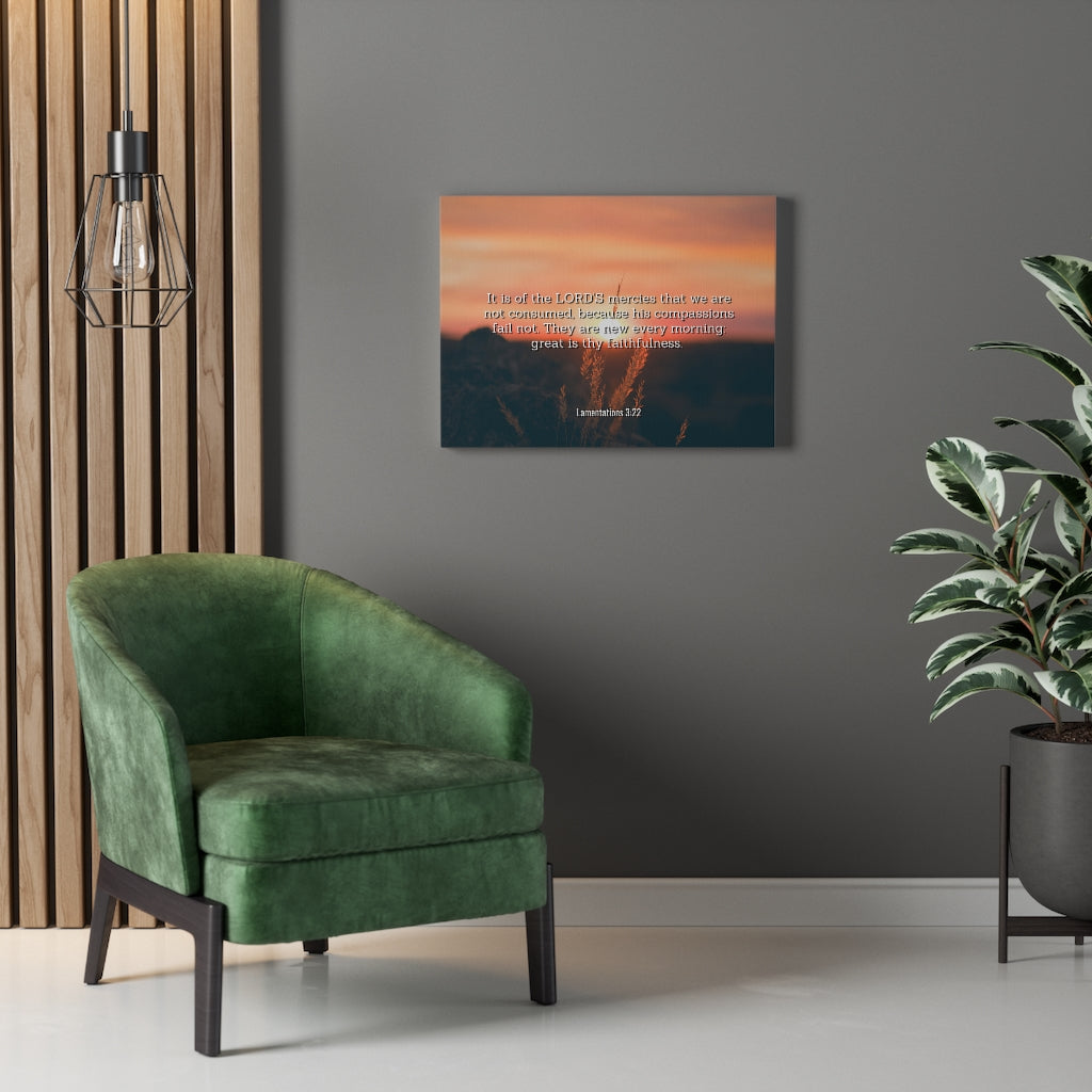 Scripture Walls Lord's Mercy Lamentations 3:22 Bible Verse Canvas Christian Wall Art Ready to Hang Unframed-Express Your Love Gifts