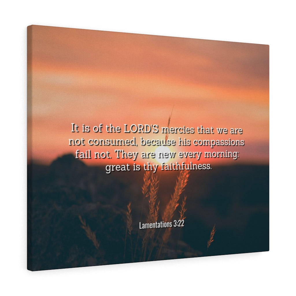 Scripture Walls Lord's Mercy Lamentations 3:22 Bible Verse Canvas Christian Wall Art Ready to Hang Unframed-Express Your Love Gifts