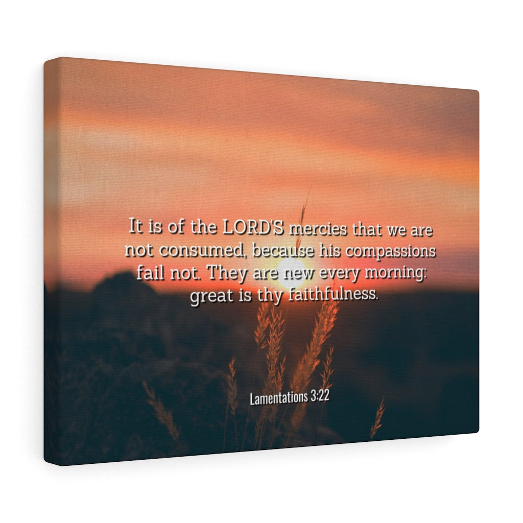 Scripture Walls Lord's Mercy Lamentations 3:22 Bible Verse Canvas Christian Wall Art Ready to Hang Unframed-Express Your Love Gifts