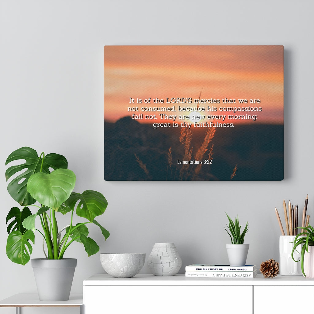 Scripture Walls Lord's Mercy Lamentations 3:22 Bible Verse Canvas Christian Wall Art Ready to Hang Unframed-Express Your Love Gifts