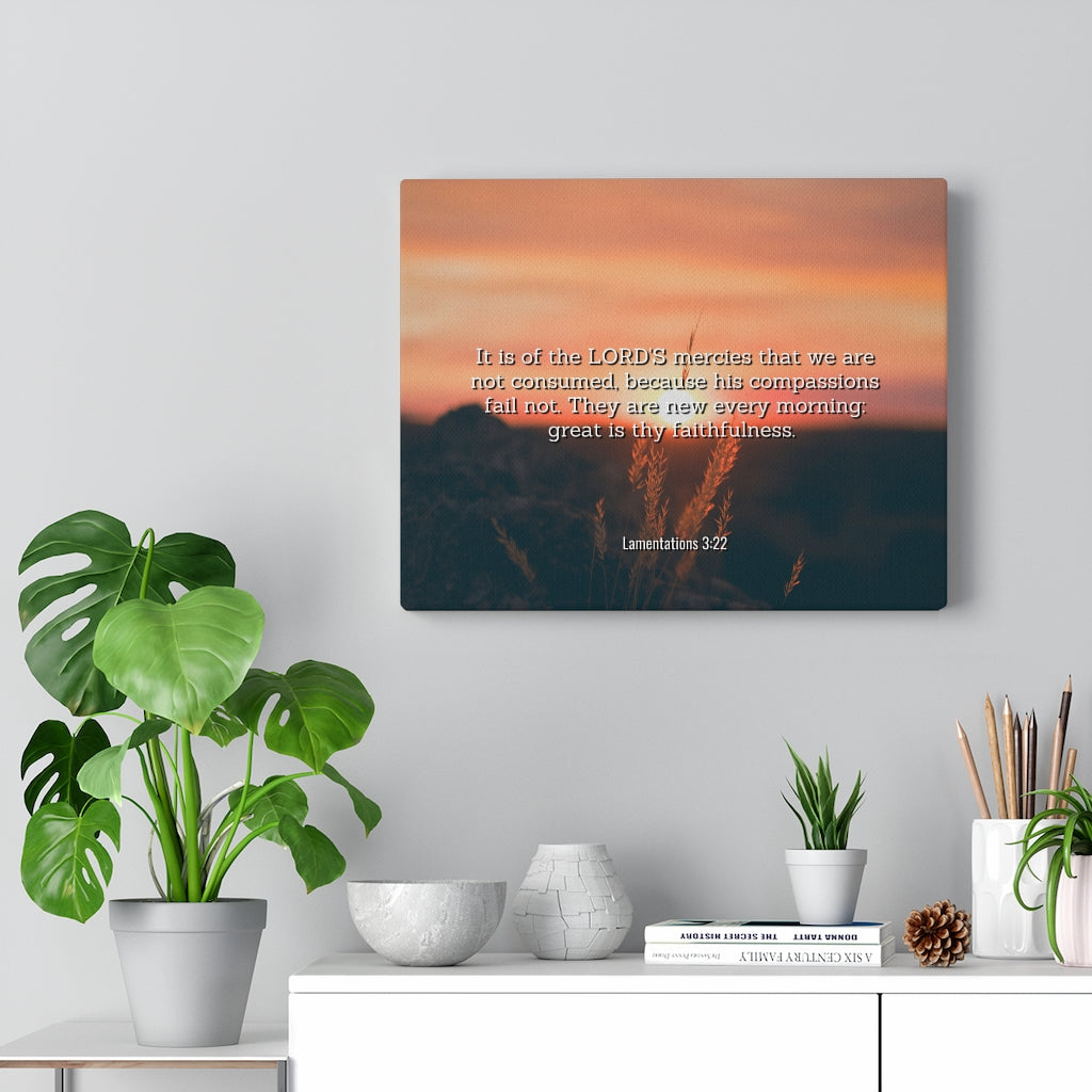 Scripture Walls Lord's Mercy Lamentations 3:22 Bible Verse Canvas Christian Wall Art Ready to Hang Unframed-Express Your Love Gifts
