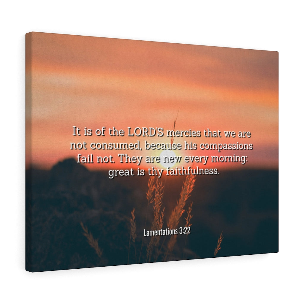 Scripture Walls Lord's Mercy Lamentations 3:22 Bible Verse Canvas Christian Wall Art Ready to Hang Unframed-Express Your Love Gifts
