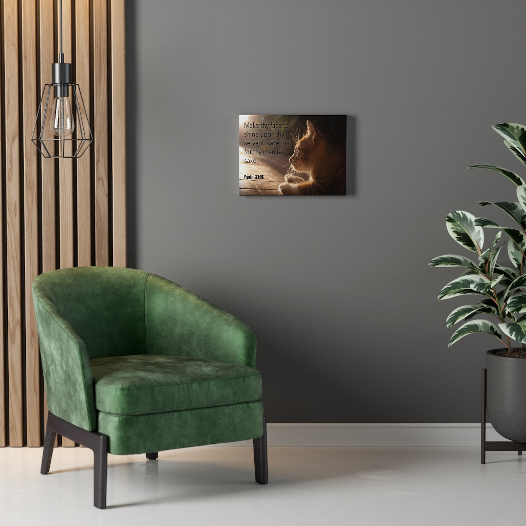 Scripture Walls Make Thy Face Psalm 31:16 Bible Verse Canvas Christian Wall Art Ready to Hang Unframed-Express Your Love Gifts