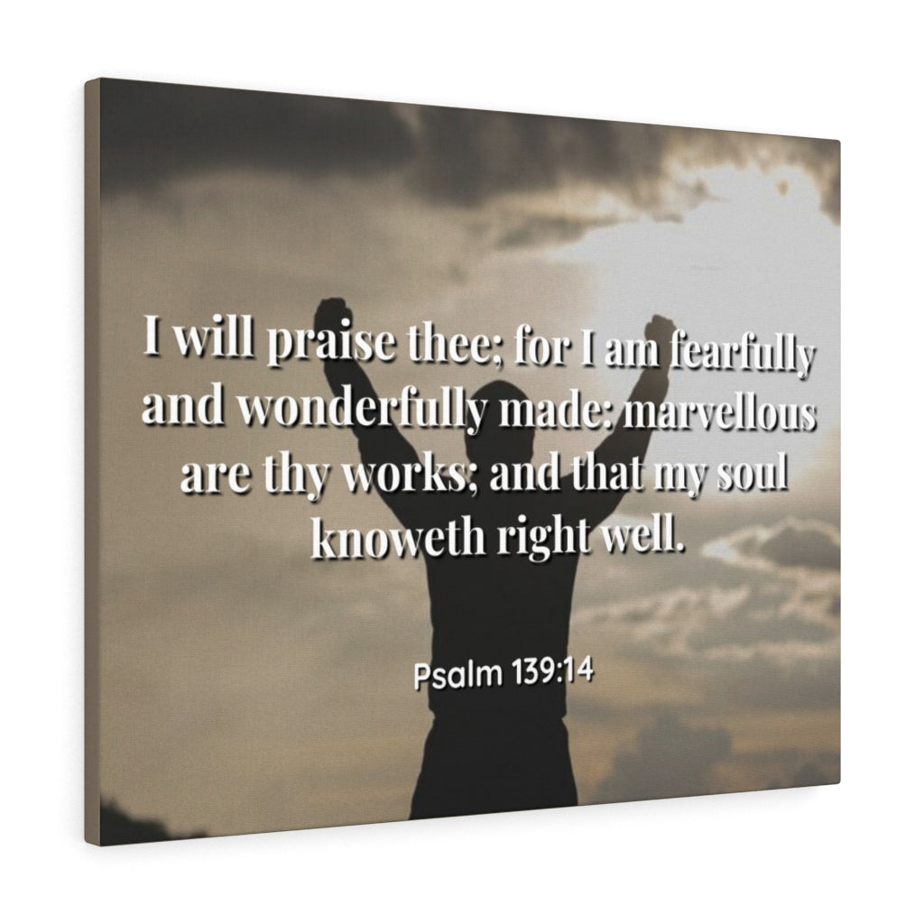 Scripture Walls Marvellous Psalms 139:14 Bible Verse Canvas Christian Wall Art Ready to Hang Unframed-Express Your Love Gifts