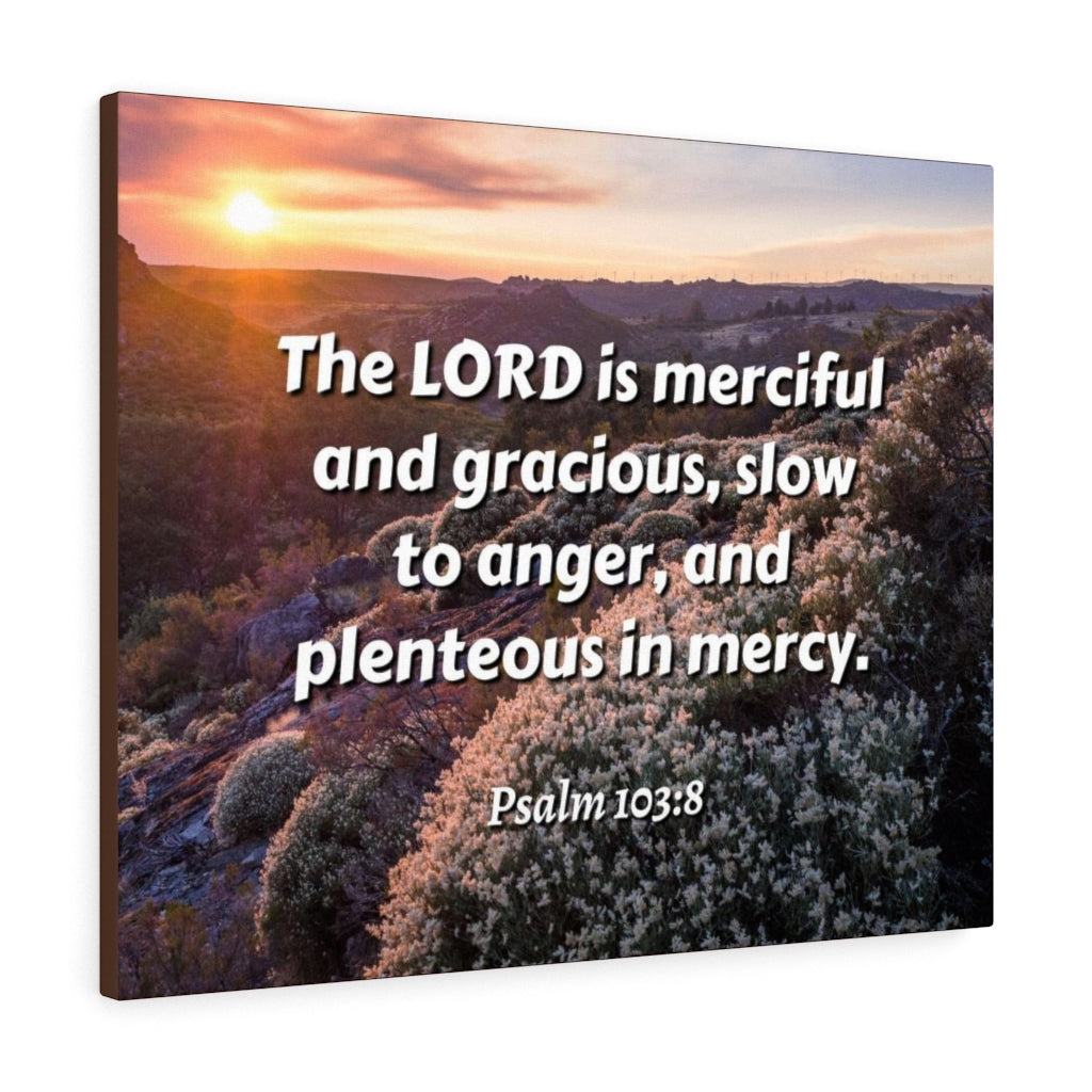 Scripture Walls Merciful And Gracious Psalm 103:8 Bible Verse Canvas Christian Wall Art Ready to Hang Unframed-Express Your Love Gifts