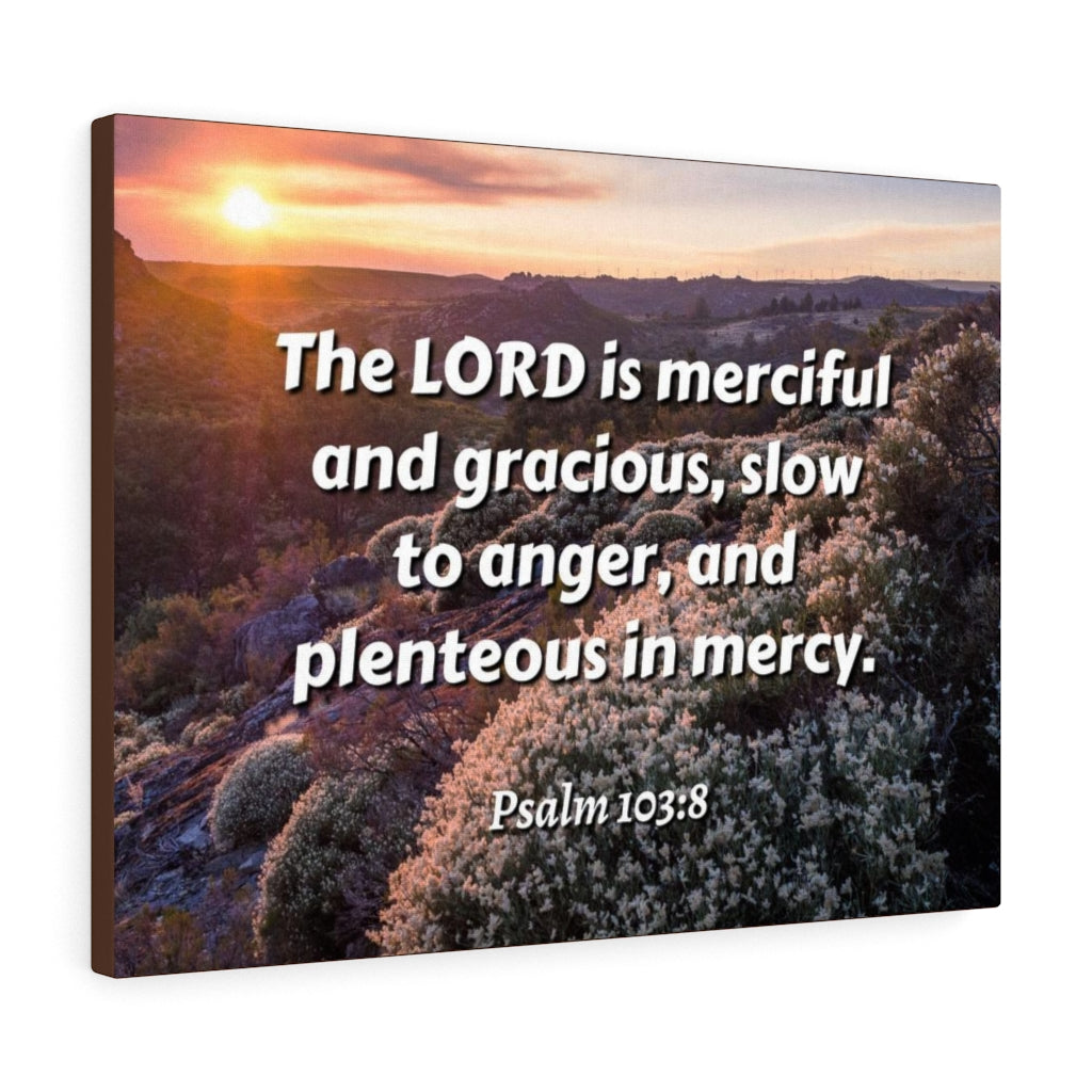 Scripture Walls Merciful And Gracious Psalm 103:8 Bible Verse Canvas Christian Wall Art Ready to Hang Unframed-Express Your Love Gifts